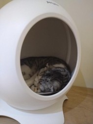 待っててねー? 日記