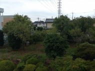 添付ファイルでスマホから送信 日記