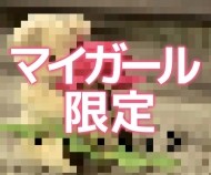 お礼 日記