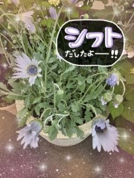 こんばんはー 日記