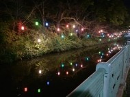 ヘトヘト‎꜀(  ꜆-ࡇ-)꜆ 日記