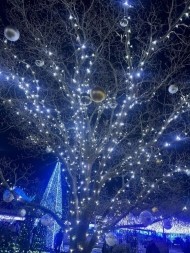 １５日(月)出勤します😘 日記