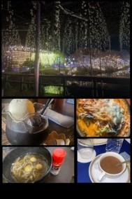 やっほー?? 日記