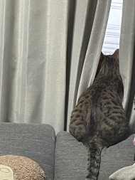 曇り☁️ 日記