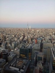 これから… 日記