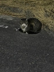 お久しぶりです♪ 日記