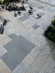 ??♀? 日記