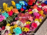 ありがと♡次回の予定 日記