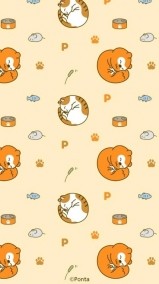 ６日間有り難うございました！ 日記