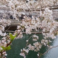 ご無沙汰してます 日記