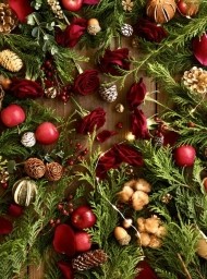 冷え込みが?😨 日記