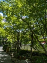 久々に 日記