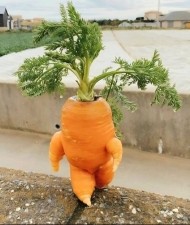 🍔疲れてる時って、普段笑えないものが急に笑えたりしてくるの  【シュール】 日記