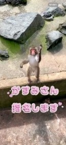 今日も！！ 日記