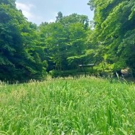 こんばんは~ 日記