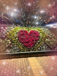 本日出勤します😊 日記