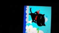 出来るだけ涼しい写真上げたかったの? 日記