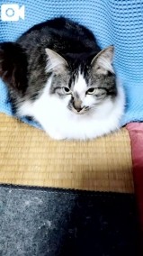 28日出勤します 日記