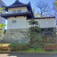 続き 日記