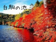 ななみ 日記