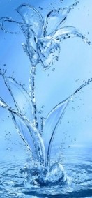 ８日の。。。 日記