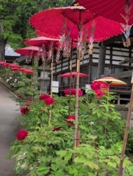 5月なのに暑い 日記