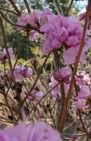 こんにちは 日記