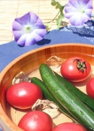 【蝉】こないだラジオで昆虫研究家👨‍🔬が言ってた 日記