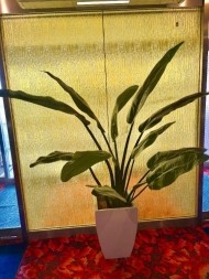 こんにちは^_^ 日記