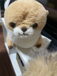 初めまして 日記