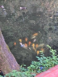 $B$b$K(I%%%(B 日記