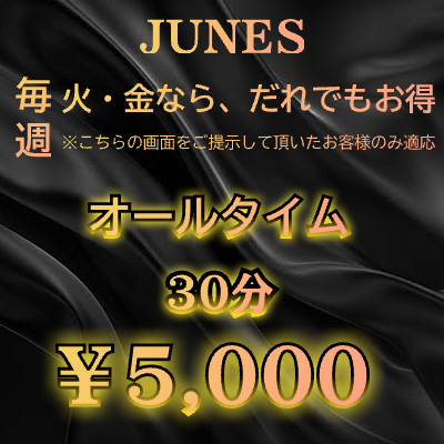 曜日限定格安割引