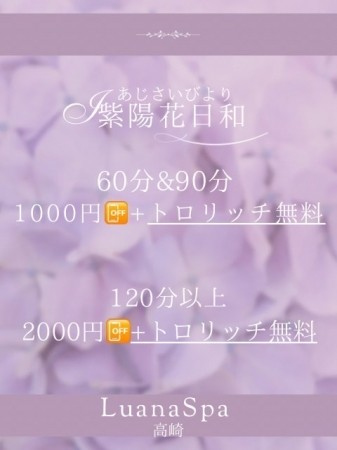 ☆ 紫陽花日和 ☆