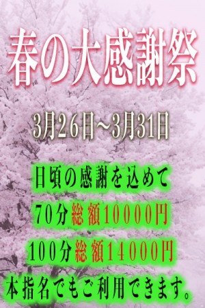 春の大感謝祭！！最大6000円の超特価！！