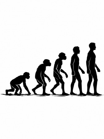 お猿のトリートメント