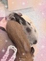 ロイヤルヴィトン