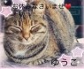 人妻洗体俱楽部