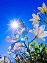 アイムシェイク