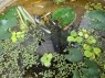 90分1万円半熟熟女の娯楽屋