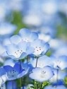 アイムシェイク