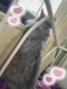 ＠群馬☆若娘特急便027キューティー★EXPRESS