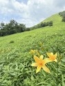 hoo lip to　フーリップトゥ