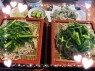 90分1万円半熟熟女の娯楽屋　本庄店
