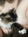 群馬渋川水沢ちゃんこ