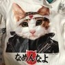 奥様アクトレス！ 