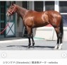 90分1万円半熟熟女の娯楽屋　本庄店