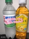 夢の国 デリランド