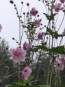 熟女の風俗最終章 高崎店