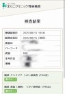 太田人妻城