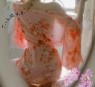 こあくまな熟女たち太田店(KOAKUMAグループ)
